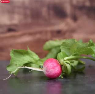 Radijs Nationaal 3 - biologische zaden