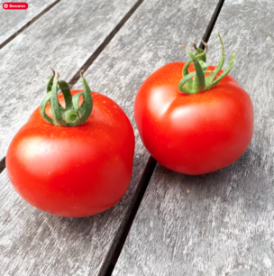 Tomaat Gloire de Versailles - biologische zaden