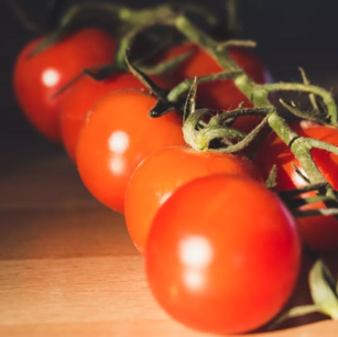 Tomaat Gardener's delight - biologische zaden