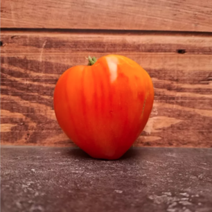 Coeur de Boeuf Russian 117 Tomate - Bio-Samen
