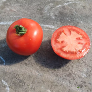 Fleischige Tomate aus Huy - Bio-Samen