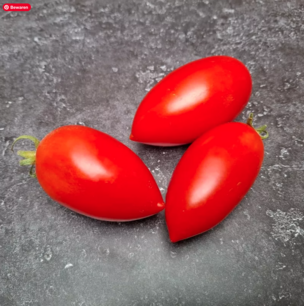 Prolifique de Falisolle Tomate - Bio-Samen