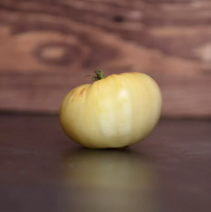 Tomaat Witte ster uit Antwerpen - biologische zaden