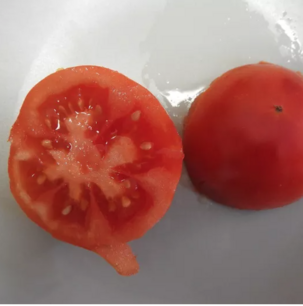 Königin der Frühaufsteher Tomate - Bio-Samen