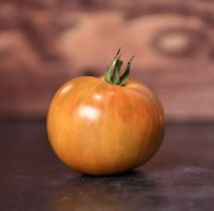 Bronze Tomato from Belgium - organic-seeds