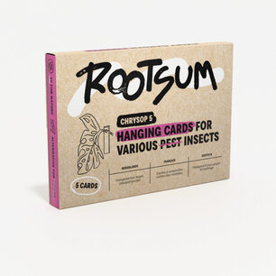 Chrysop - tegen spint, trips, bladluis en wolluis