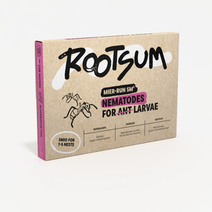 Aaltjes tegen mieren | Mier-run