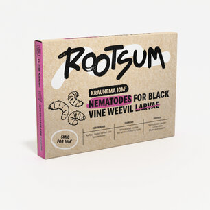 Aaltjes tegen taxuskever | Kraunema